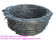 Pvc galvanizado eléctrico de la malla del alambre de púas de 2.5m m cubierto del alambre de acero bajo de Corbon