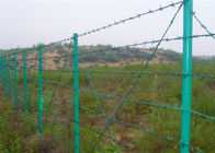 Valla de seguridad cubierta PVC del verde del alambre de púas de Lowa en el top de la cerca de la alambrada