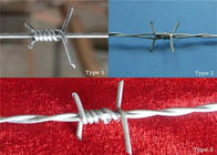 Bobina del alambre de púas del filamento doble 16*16 para la valla de seguridad, de alta resistencia