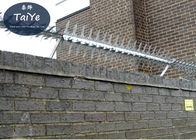 Puntos agudos galvanizados de la seguridad de la pared para las puertas y las cercas de protección de las paredes