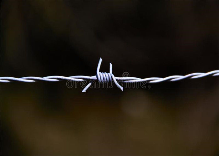 Línea doble lengüetas del alambre de púas dos de la seguridad de la torsión de los alambres junto atadas